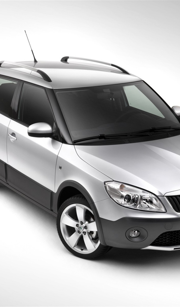 Автомобиль Skoda Fabia на дороге