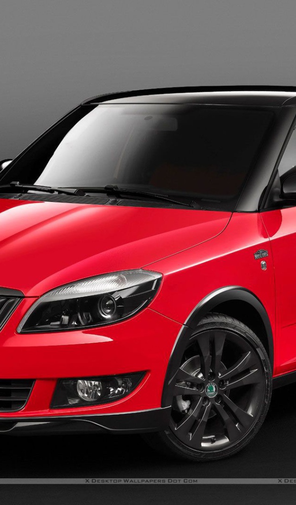 Тест драйв автомобиля Skoda Fabia