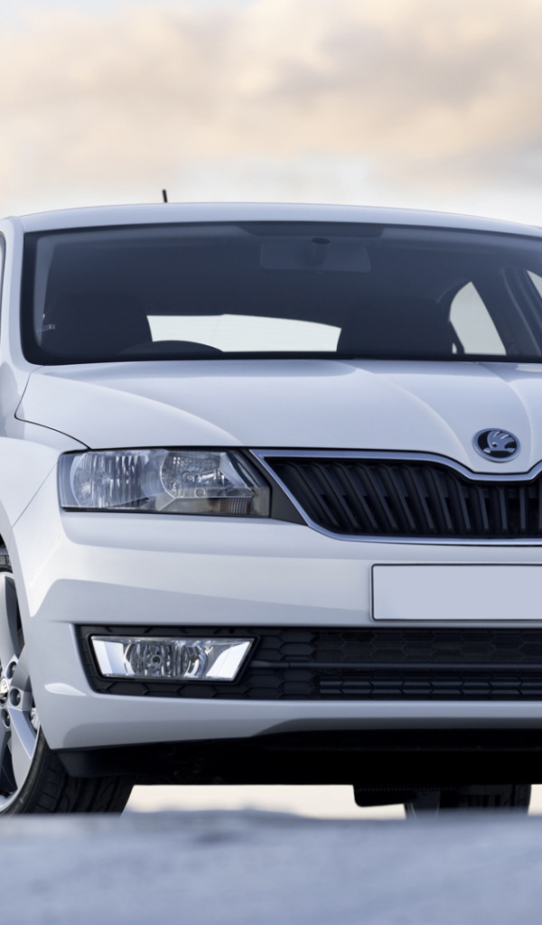 Тест драйв автомобиля Skoda Rapid