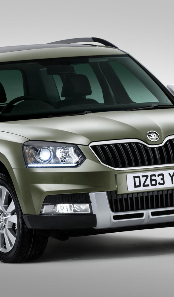 Тест драйв автомобиля Skoda Yeti 2014