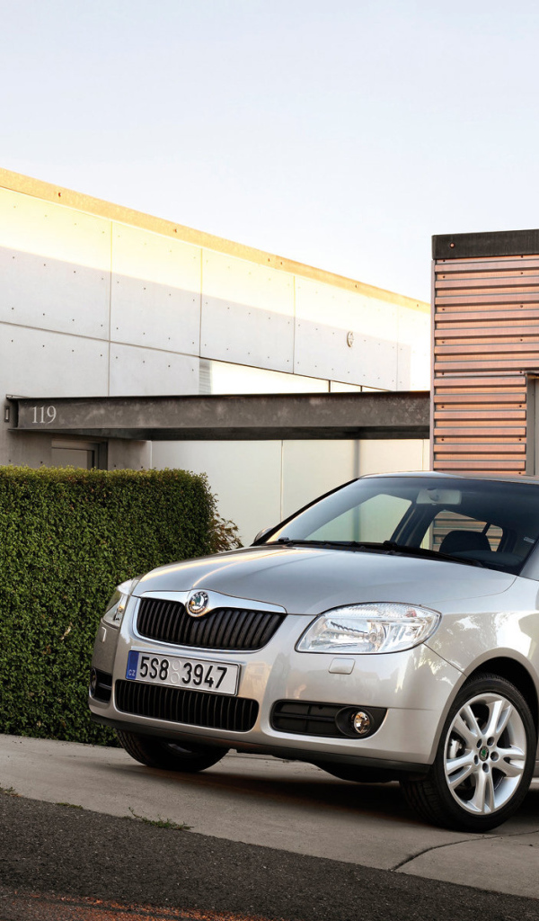 Новая машина Skoda Fabia