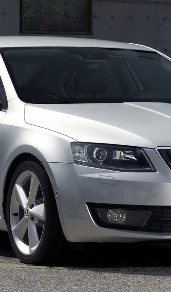 Новая машина Skoda Octavia 2013