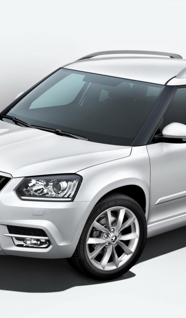 Новая машина Skoda Yeti 2014