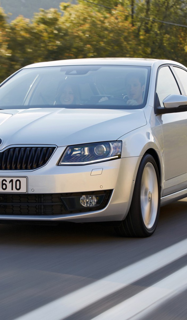 Надежная машина Skoda Octavia 2013