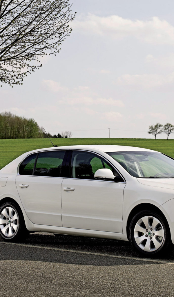 Надежная машина Skoda SuperB