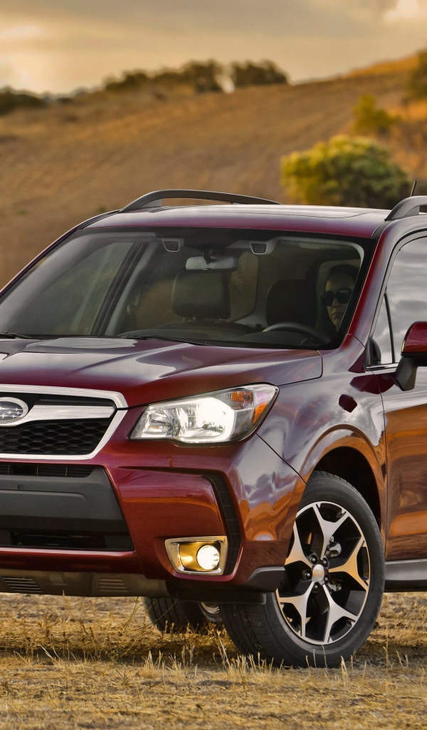 Красивый автомобиль Subaru Forester 2013