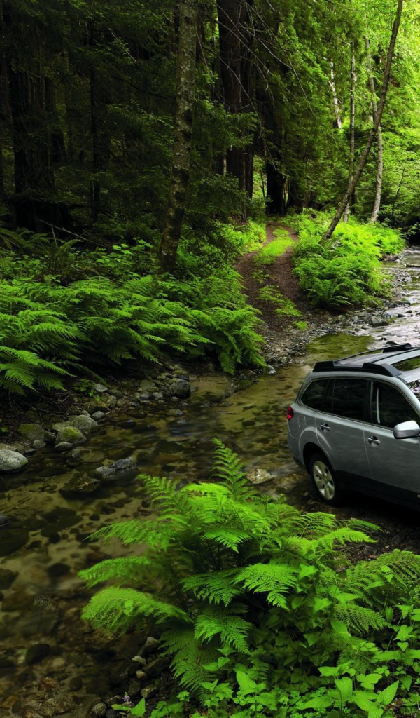 Надежный автомобиль Subaru Outback