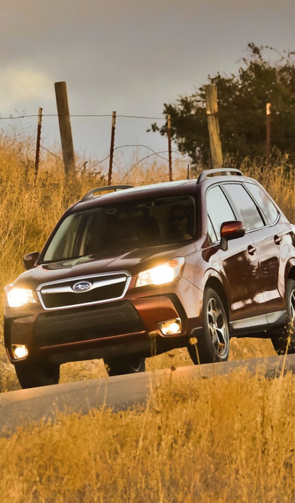 Новая машина Subaru Forester 2013