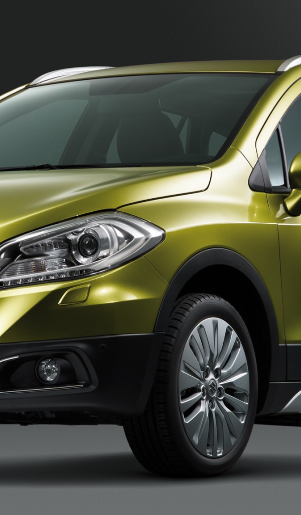 Тест драйв автомобиля Suzuki S-Cross 2014