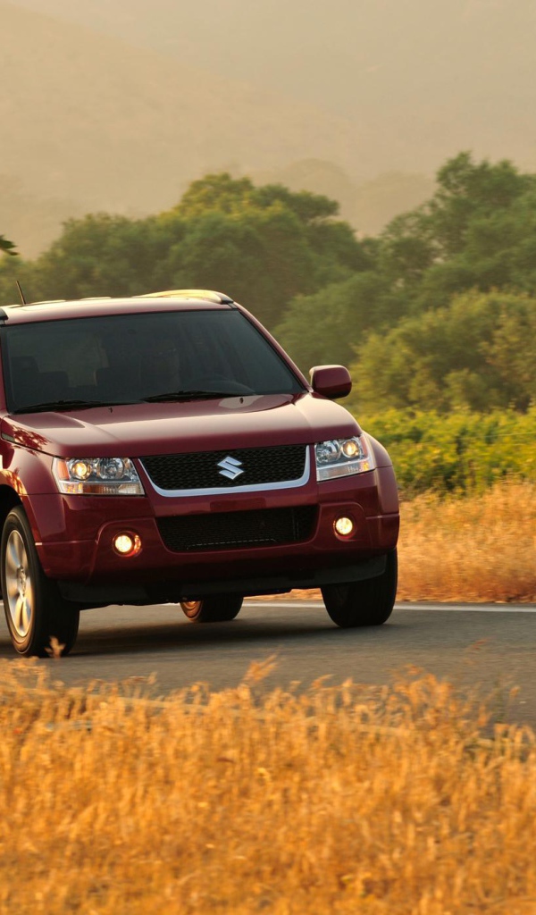 Надежный автомобиль Suzuki Grand Vitara 2014