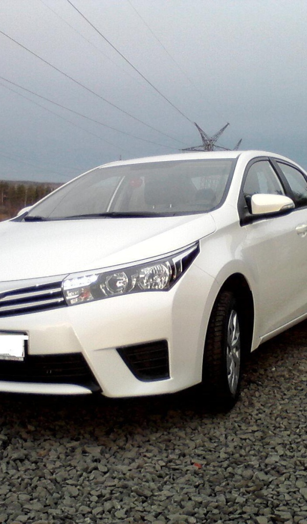 Тест драйв автомобиля Toyota Corolla 2014