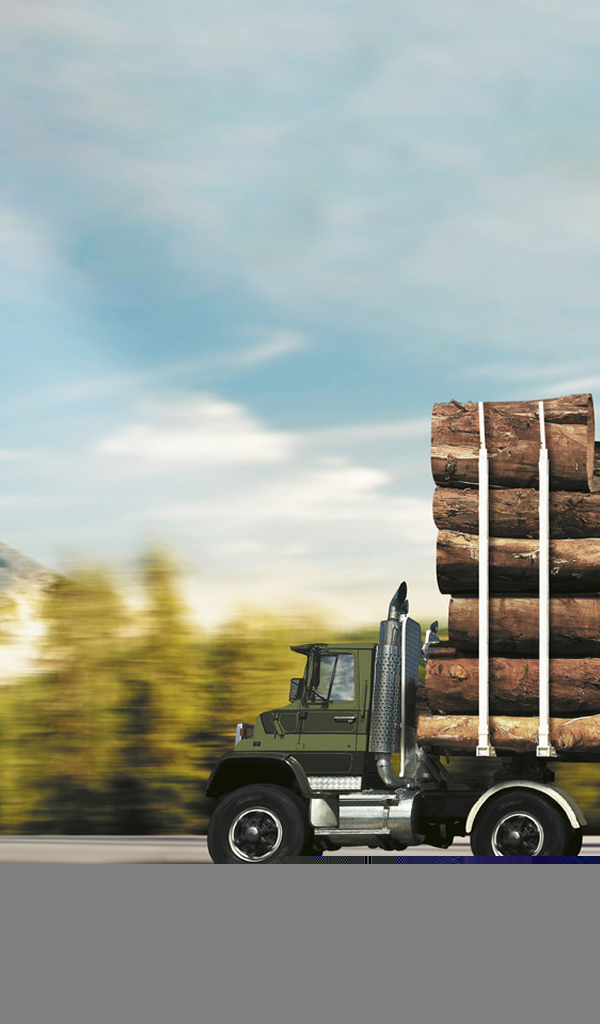 Автомобиль лесовоз