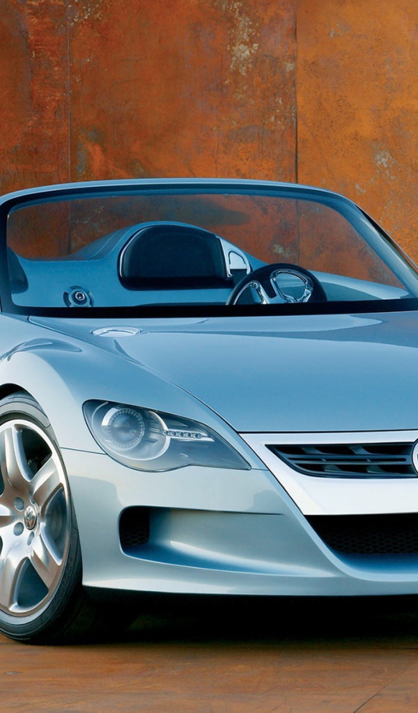 Двухместный автомобиль 