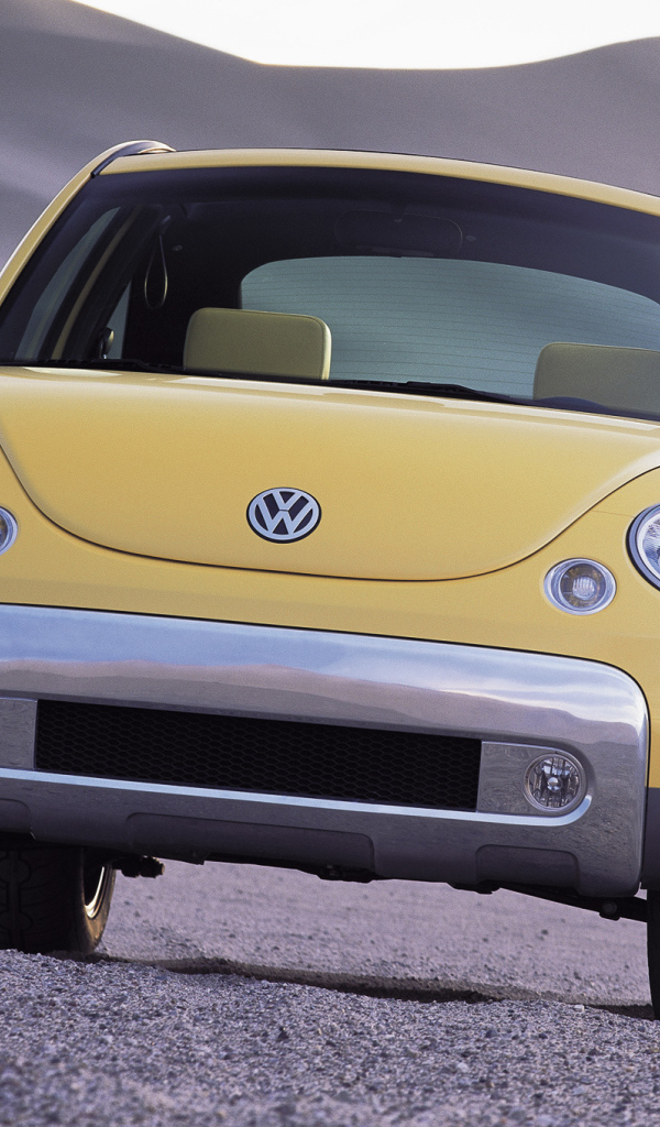 Тест драйв автомобиля Volkswagen Beetle Dune 2014