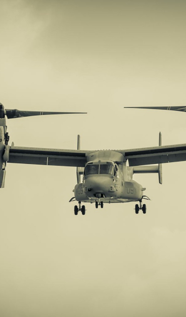 Вертолет с двумя винтами