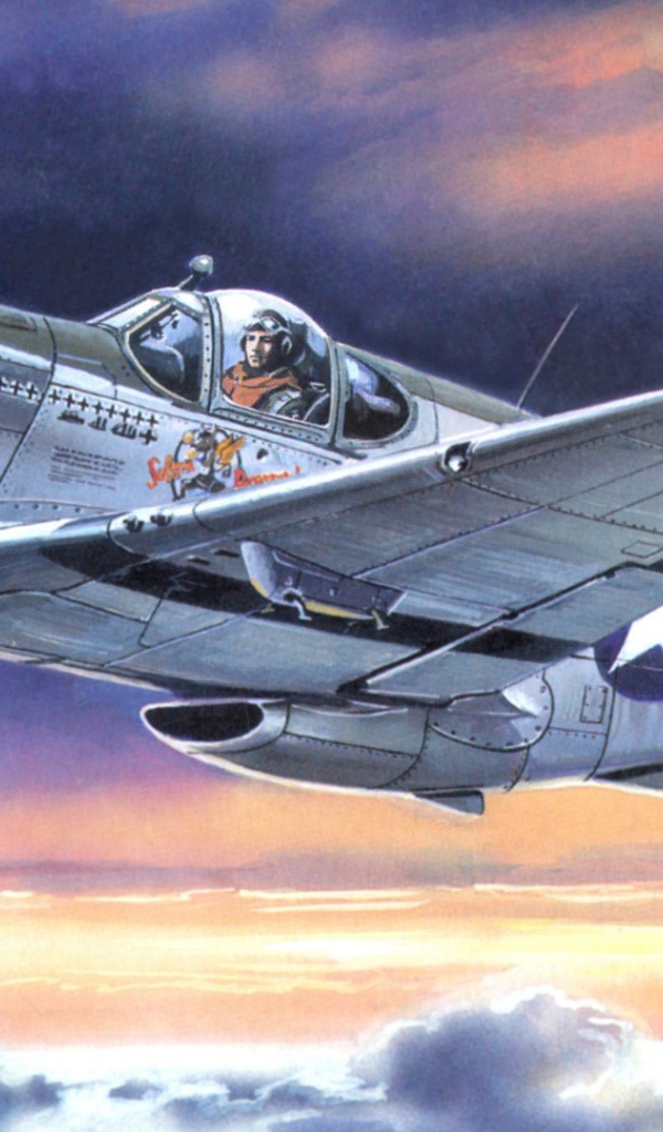 Воздушный боец