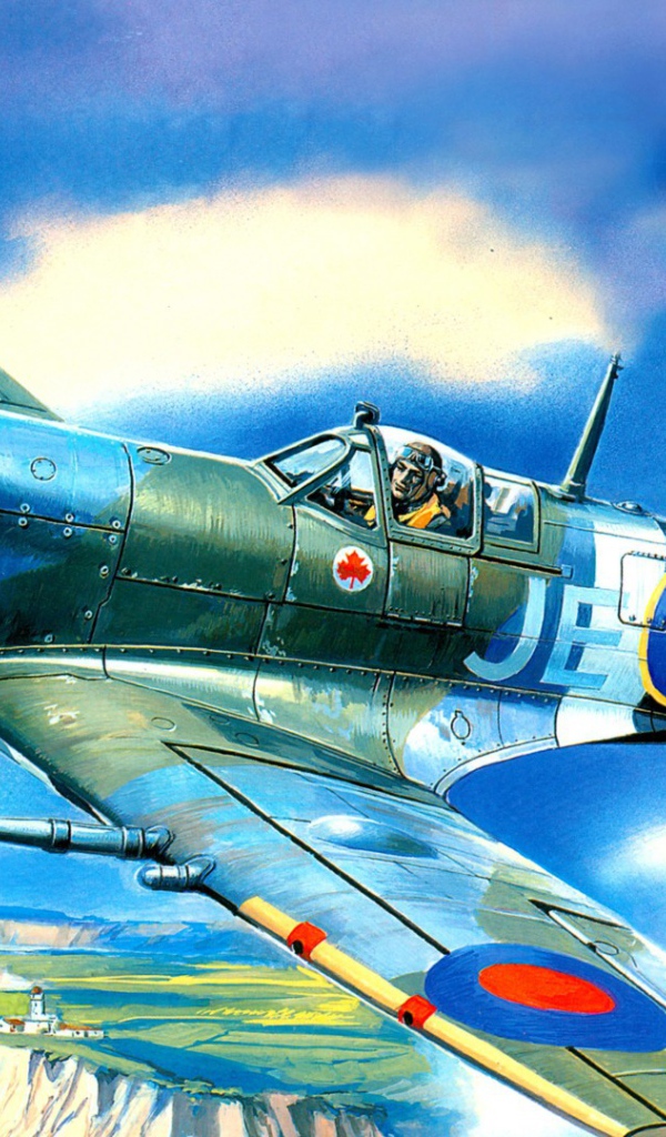 Самолет над заливом