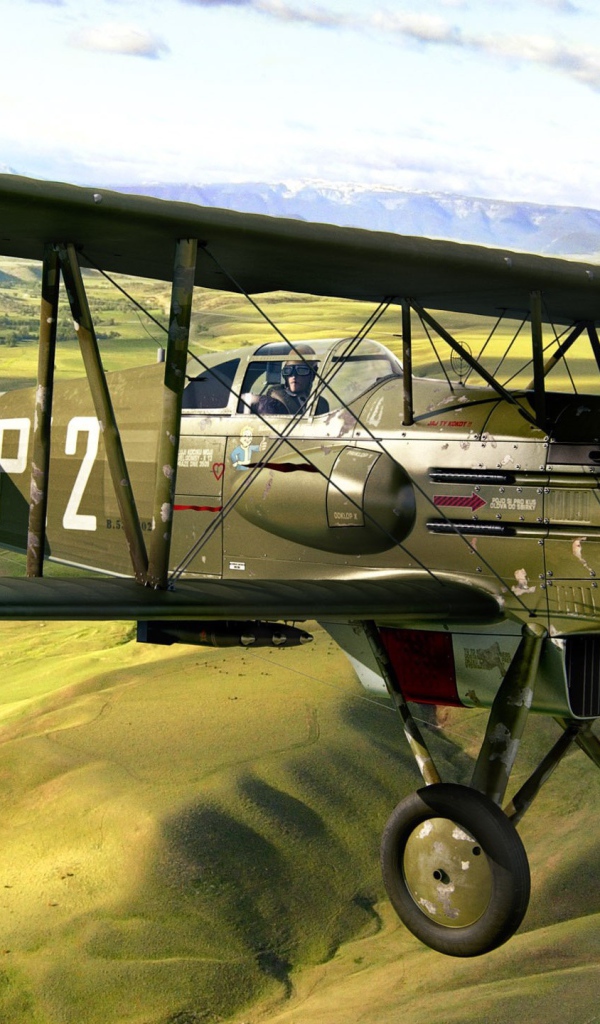 Чешский самолет