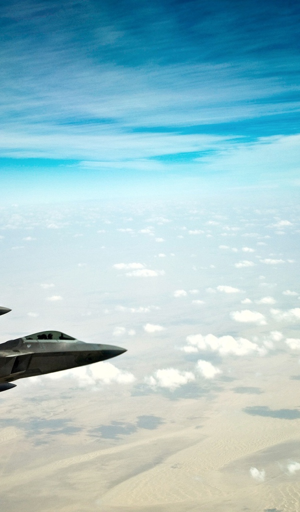 Истребители F22