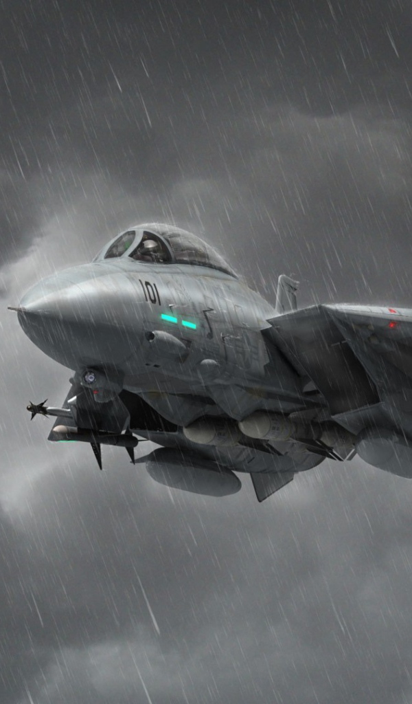 Истребители под дождем
