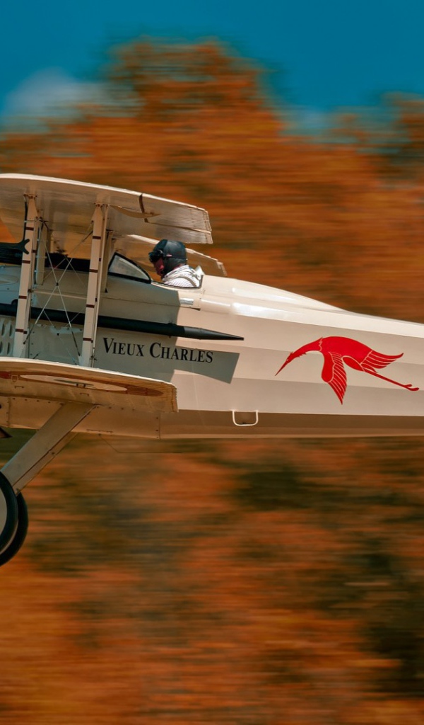 Французский самолет