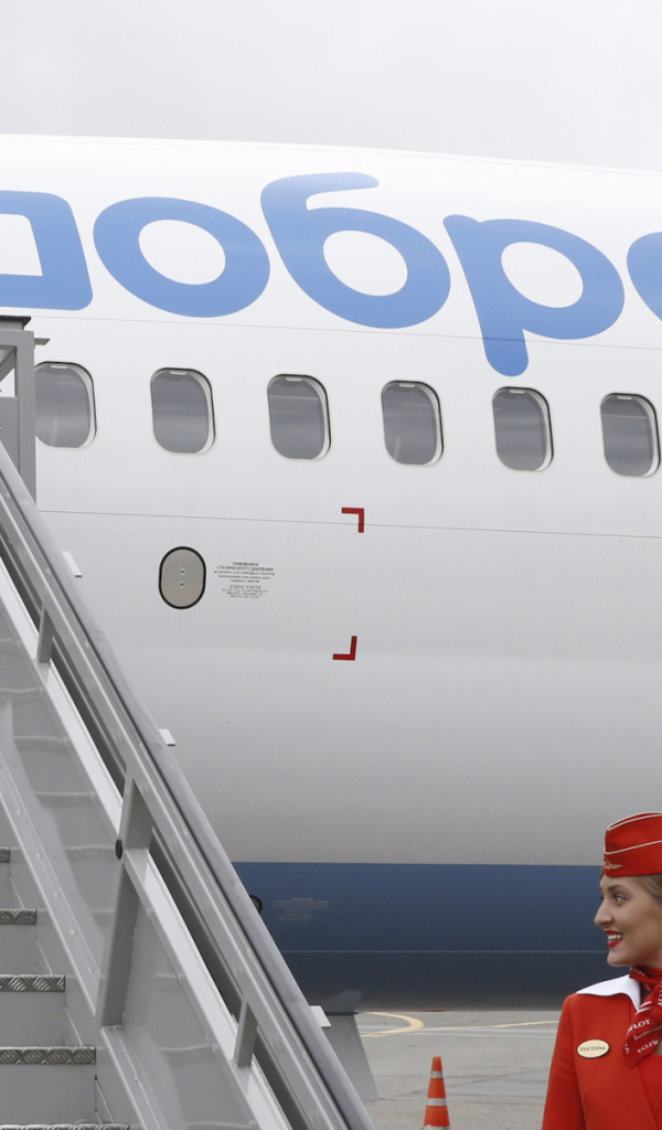 Медведев на трапе самолета Добролет