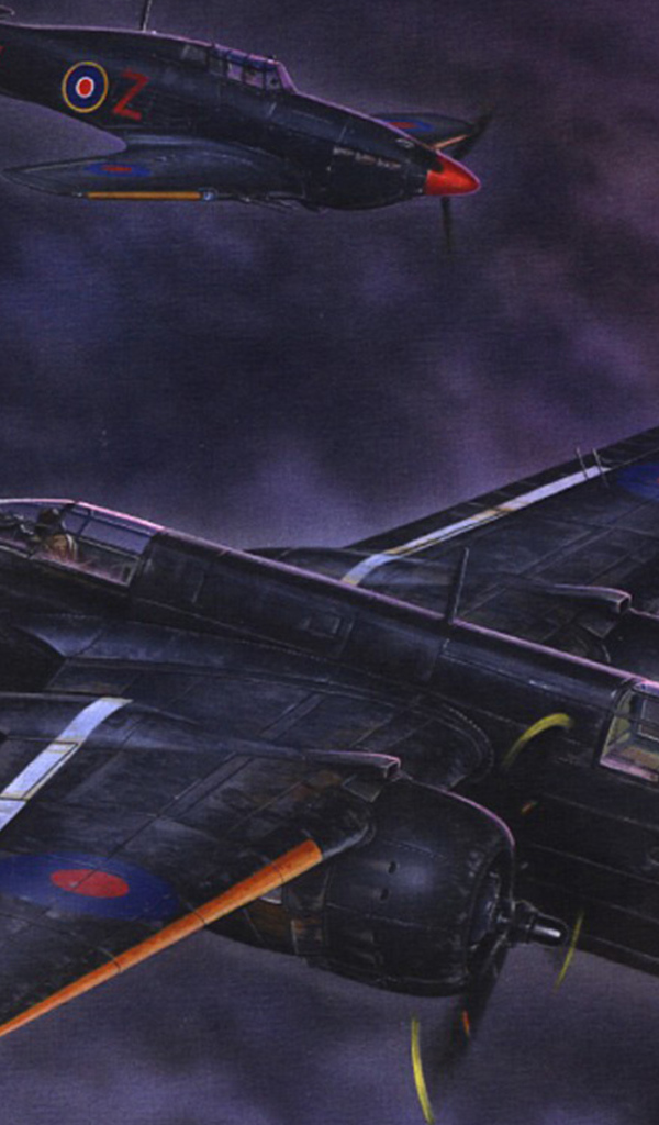 Ночные ястребы