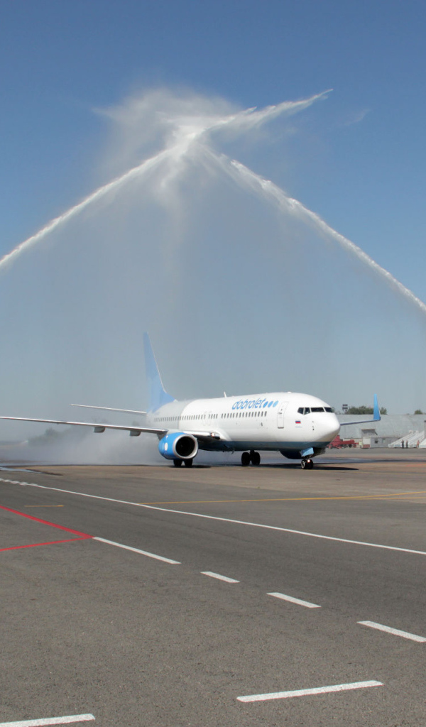 Презентация авиаперевозчика Добролет