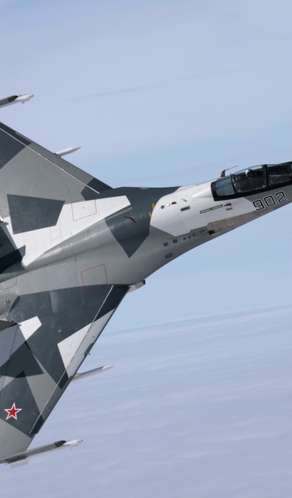 Российский истребитель в небе