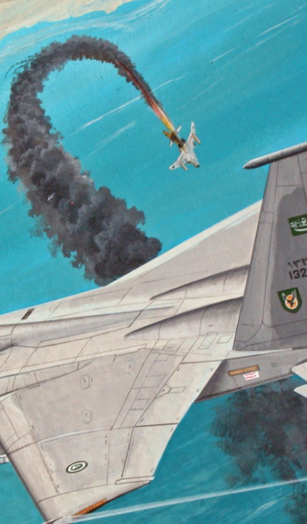 Подбитый самолет падает в море