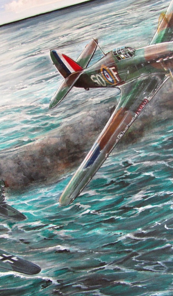 Француз выиграл бой