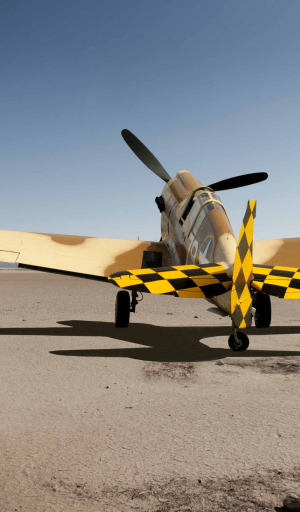 Самолет в пустыне