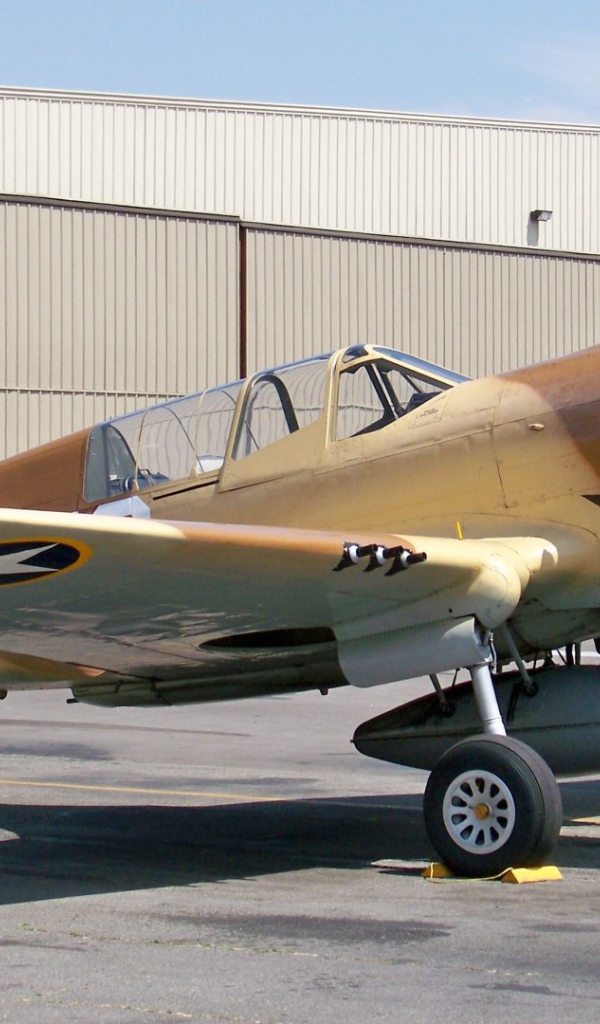 Учебный самолет