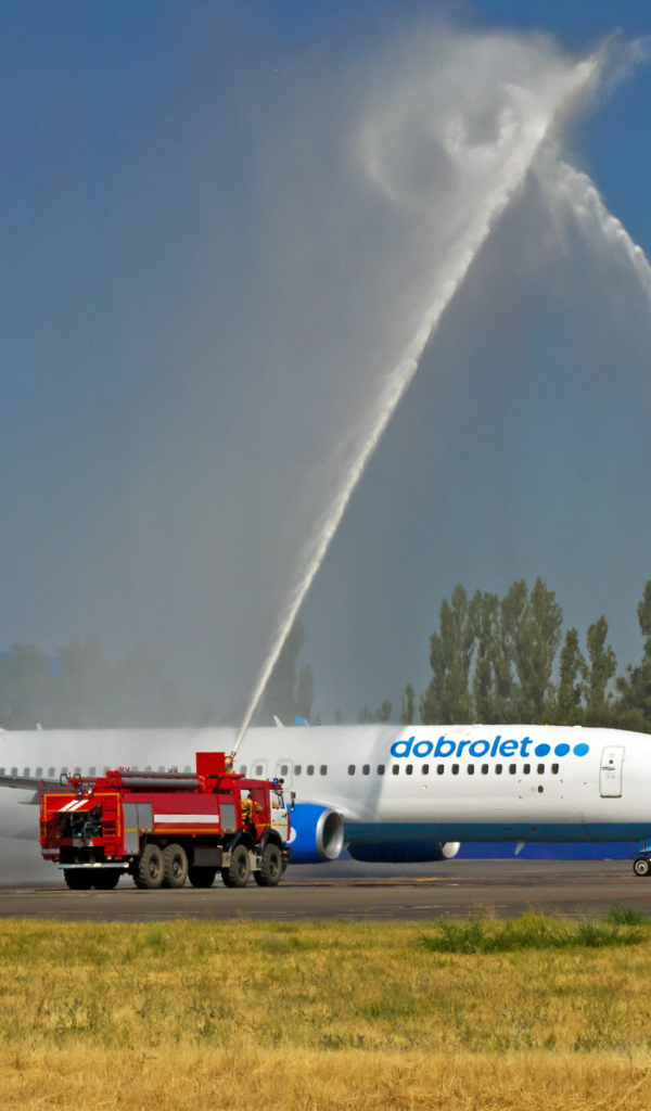 Водная арка для самолета Добролет