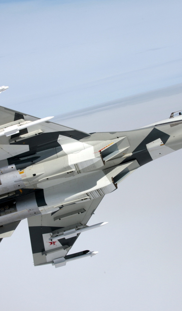 Самолет SU-35