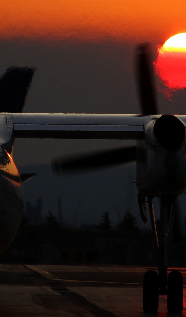 Самолет под луной