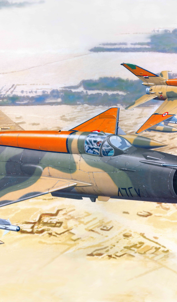 Миг-21 над Египтом