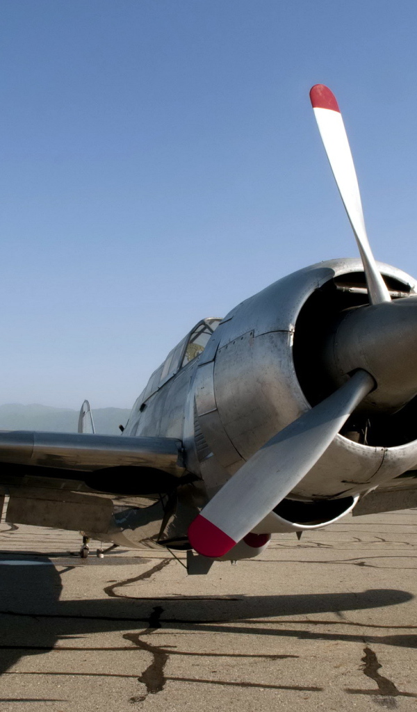 Винтовой самолет