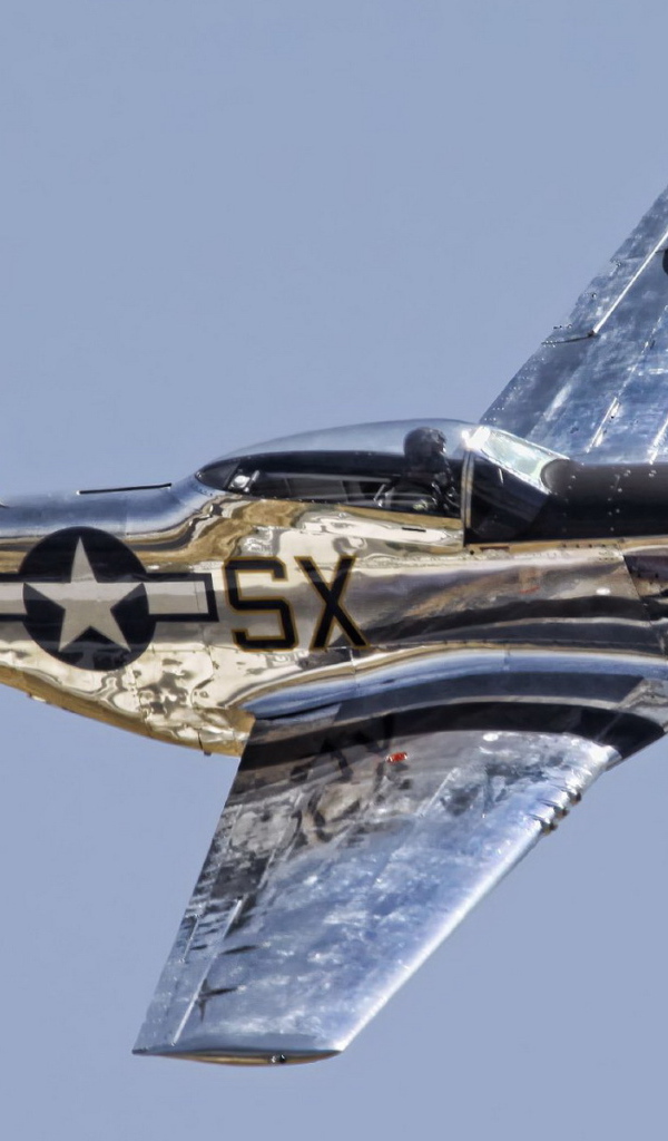 Самолет мустанг