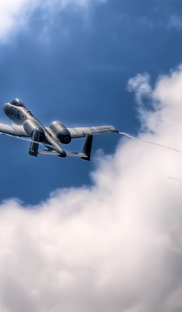 Самолет А-10 в небе