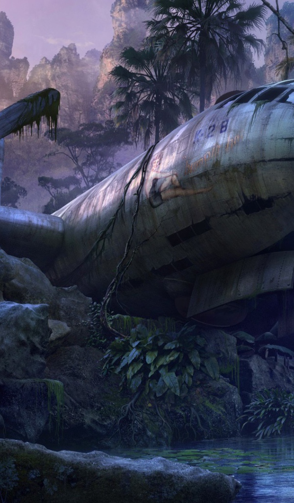 Самолет упал в джунгли