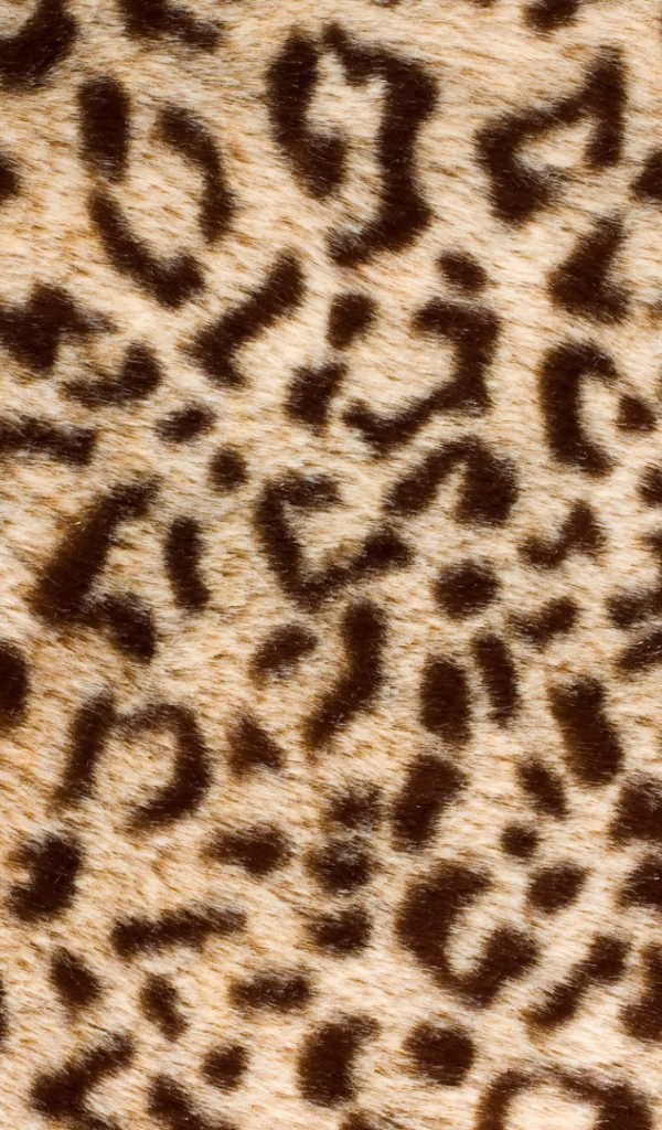 Банальный леопард