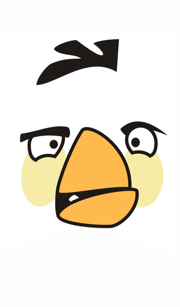 Птичка на белом фоне