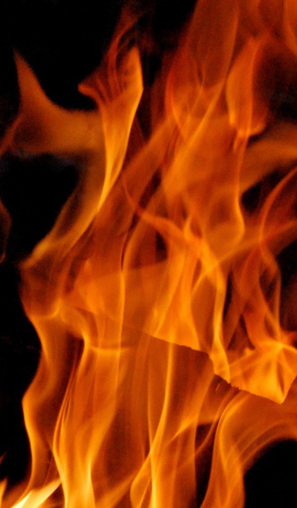 Пламя в камине