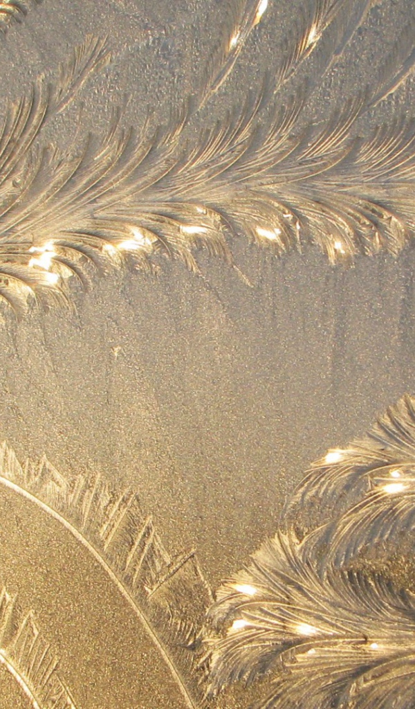 Mорозный узор