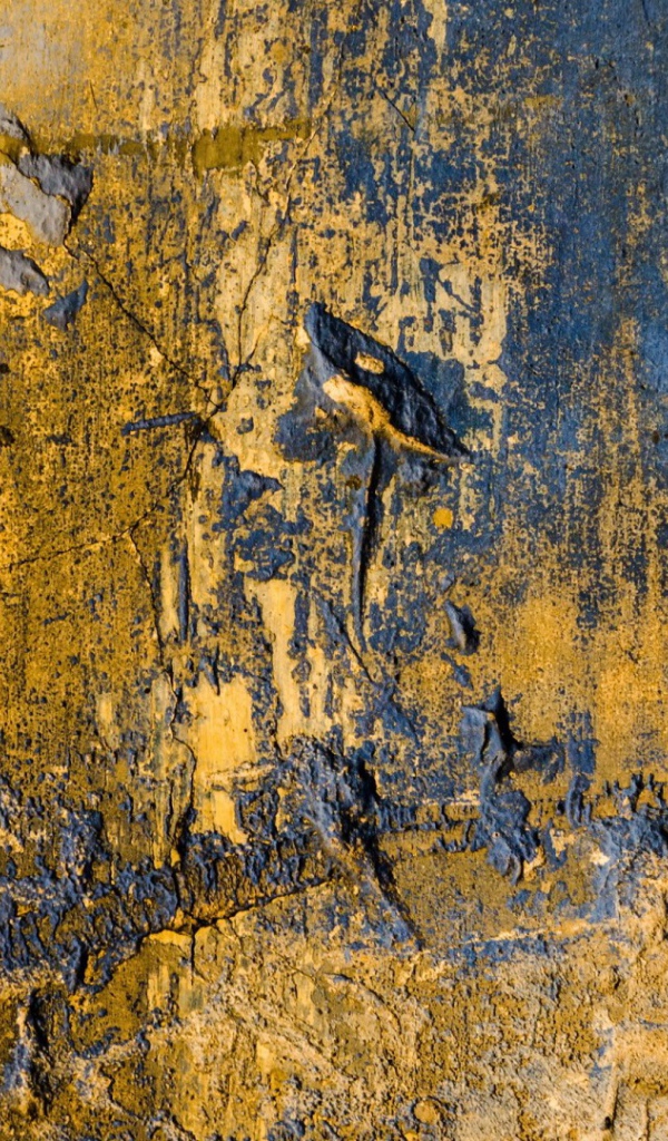 Призрак старого леса