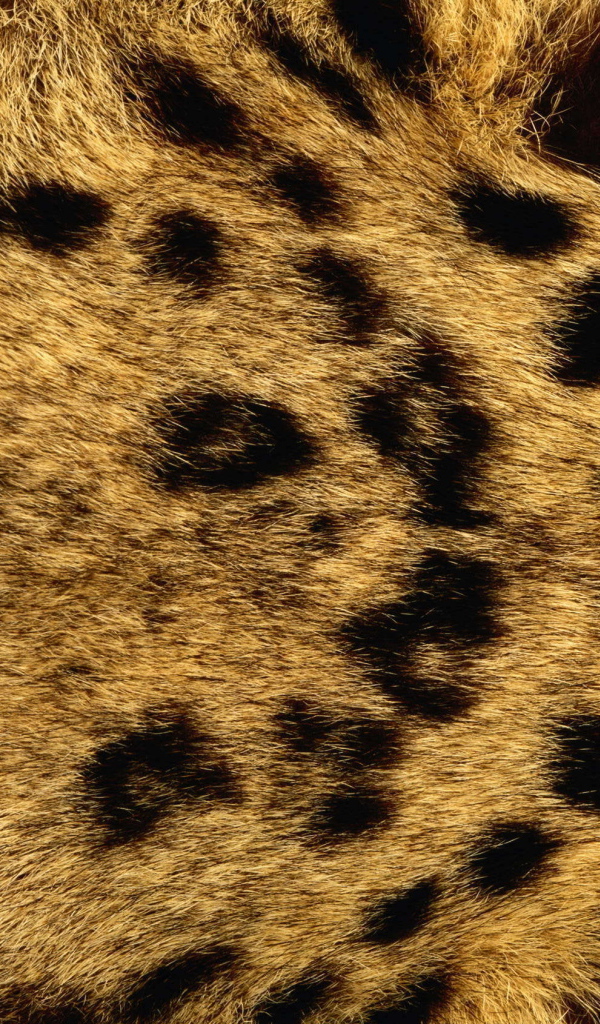 Мех леопарда