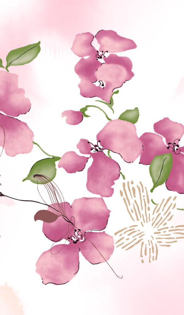 Розовые цветы на белом фоне