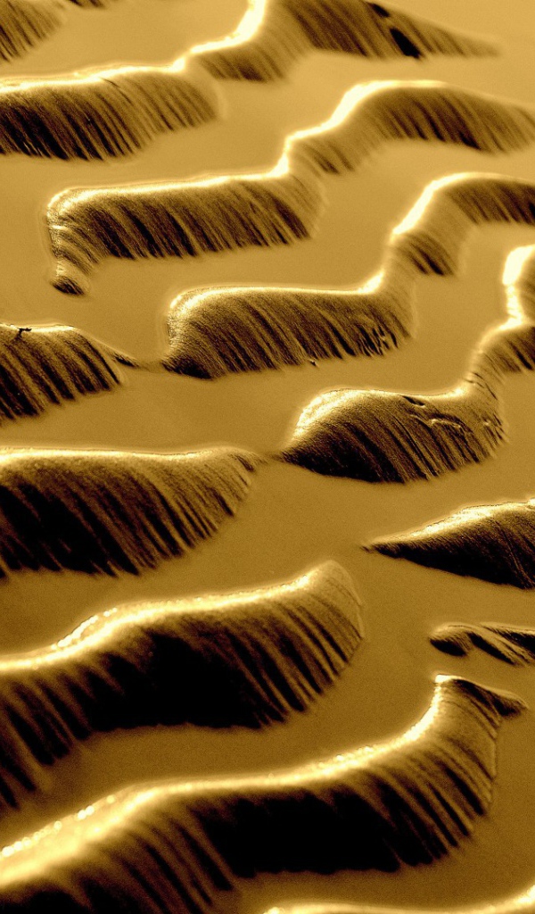 Песчаные волны