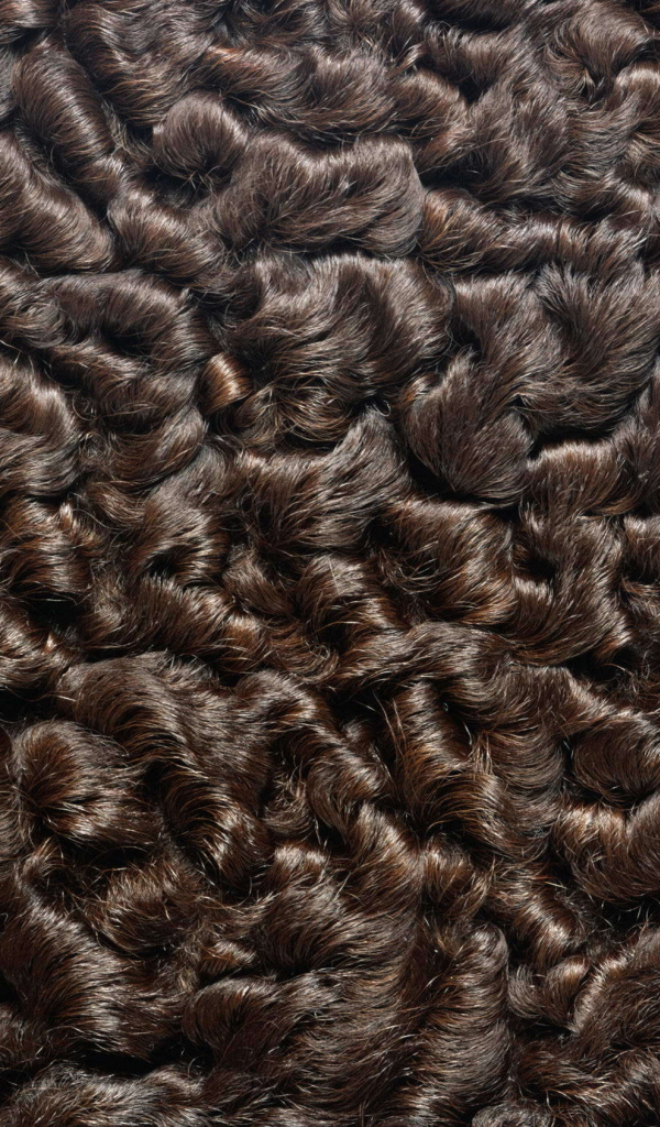 Мех каракуль